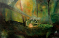 /album/olejomalby-olejove-barvy-rembrandt/image-3-jpg/